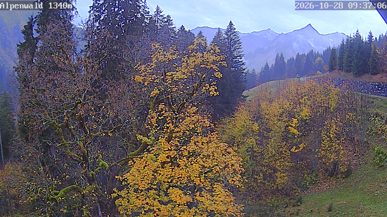 Image: Gasthof Alpenwald